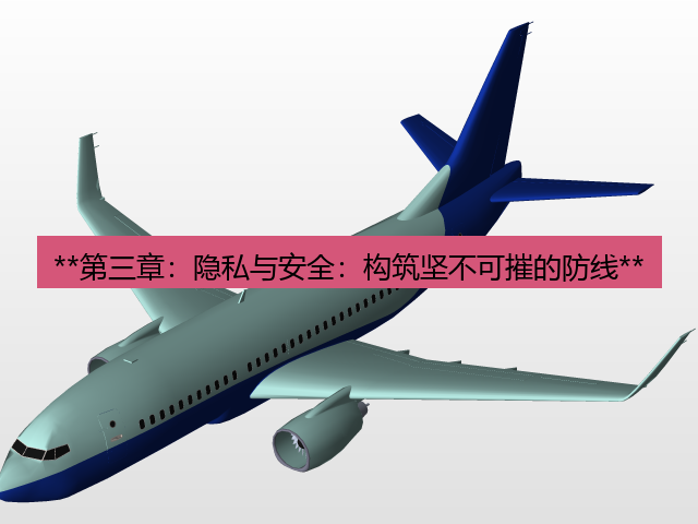 飞机下载 **第三章：隐私与安全：构筑坚不可摧的防线**